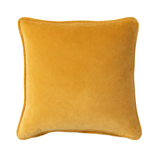 Gold Velvet Cushion