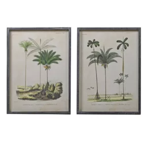 Botanical Palms Framed Prints hire