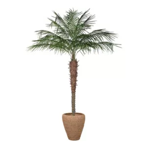Coconut Palm Faux Tree