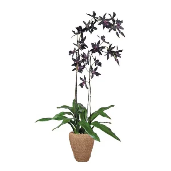Vampire Orchid Faux Florals