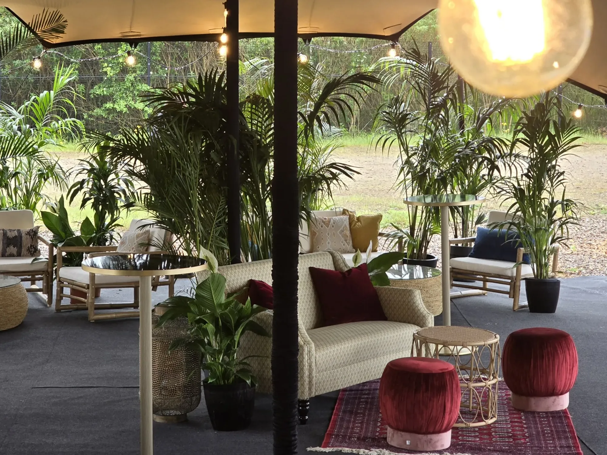 Festival Furniture Rental Festival Furniture Rental