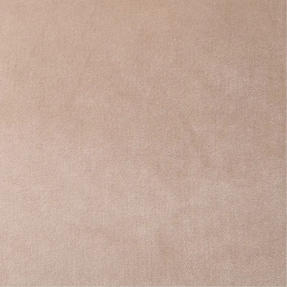 Ivory Velvet Cushion - Image 2
