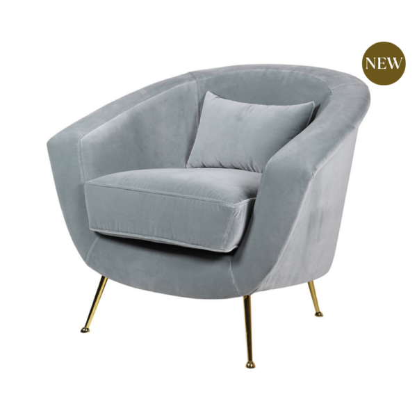 Powder Blue Velvet Chair